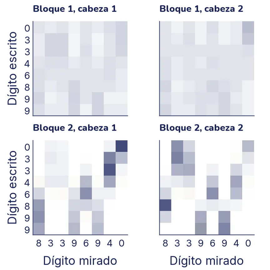 Cuatro mapas de atención de ocho por ocho en una rejilla de dos por dos. Los dos del bloque 1 están repartidos, con tonos suaves en muchas casillas. Los dos del bloque 2 son más nítidos: cada fila concentra su peso en una o dos columnas, y las columnas elegidas son las de los dígitos chicos para las primeras filas y las de los dígitos grandes para las últimas.