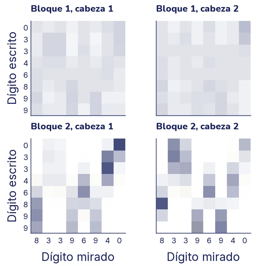 Cuatro mapas de atención de ocho por ocho en una rejilla de dos por dos. Los dos del bloque 1 están repartidos, con tonos suaves en muchas casillas. Los dos del bloque 2 son más nítidos: cada fila concentra su peso en una o dos columnas, y las columnas elegidas son las de los dígitos chicos para las primeras filas y las de los dígitos grandes para las últimas.