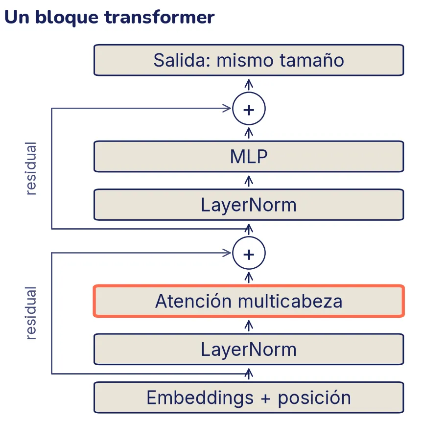 Diagrama vertical de un bloque transformer. De abajo hacia arriba: Embeddings más posición, LayerNorm, Atención multicabeza (resaltada), un círculo con un signo más, LayerNorm, MLP, otro círculo con un signo más y Salida del mismo tamaño. Dos flechas laterales marcadas «residual» llevan la entrada de cada parte directo a su signo más.