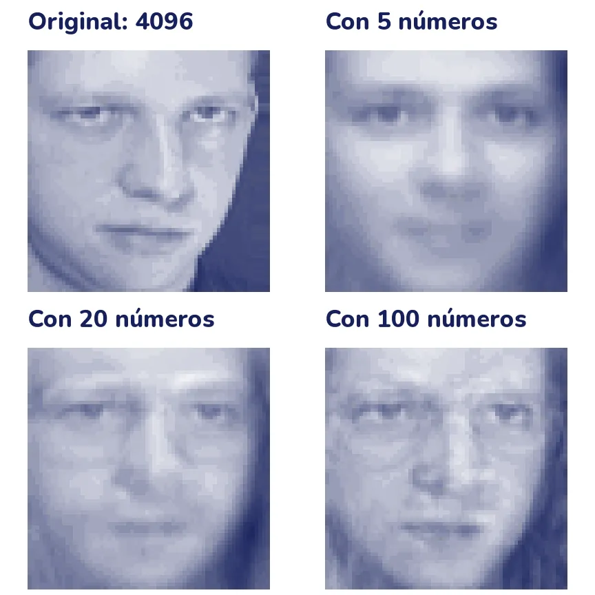 Cuatro versiones de la misma cara en una rejilla de dos por dos. La original es un joven de pelo claro que mira de frente con la cabeza un poco ladeada. Con 5 números sale una cara genérica y borrosa; con 20 ya aparecen los ojos, las cejas y la boca, borrosos; con 100 se reconoce a la persona, con algo de ruido.