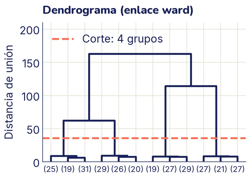 Un dendrograma con 12 hojas abajo, cada una con su cantidad de puntos entre paréntesis. Hay cuatro ramas que se forman a poca altura y que después se unen con horquillas mucho más altas. Una línea coral discontinua corta el árbol justo por encima de esas cuatro ramas.