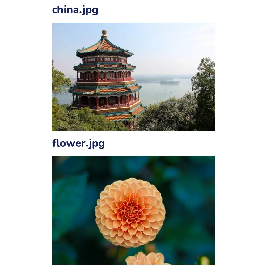 Las dos fotos de ejemplo de scikit-learn: arriba, una pagoda china de varios pisos junto a un lago, con árboles; abajo, una dalia anaranjada de cerca con el fondo verde desenfocado.
