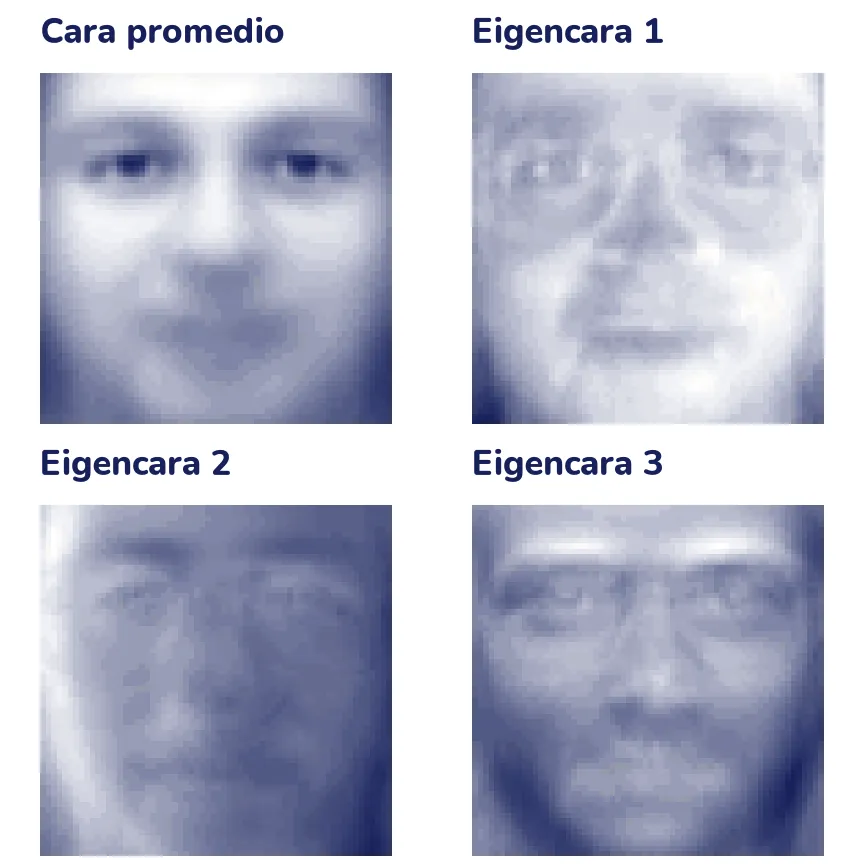 Cuatro imágenes de 64 por 64 en una rejilla de dos por dos. La cara promedio es una cara borrosa de frente. Las tres eigencaras parecen caras fantasma: la primera resalta la iluminación de la frente y la nariz, la segunda un contraste entre el lado izquierdo y el derecho, y la tercera las cejas, los ojos y el contorno.