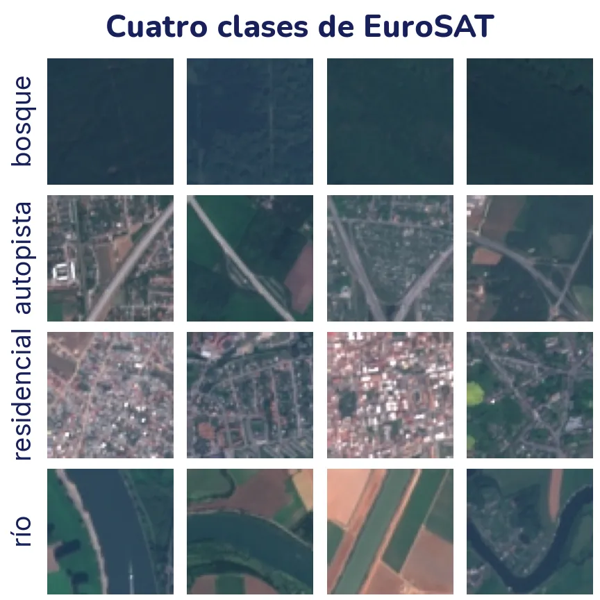 Rejilla de 16 fotos satelitales pequeñas, cuatro por fila. Bosque: manchas de verde oscuro casi uniforme. Autopista: una franja gris recta que cruza campos verdes y marrones. Residencial: un tejido apretado de techos y calles. Río: una franja oscura y curva de agua entre campos.