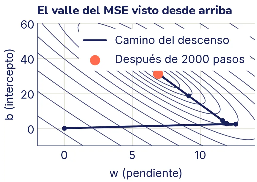 Curvas de nivel en forma de elipses muy alargadas e inclinadas. El camino sale del origen, salta casi en horizontal hasta w = 12,6 y luego avanza en diagonal, despacio, a lo largo del fondo del valle hasta la bola coral, cerca de w = 6,9 y b = 31,2.