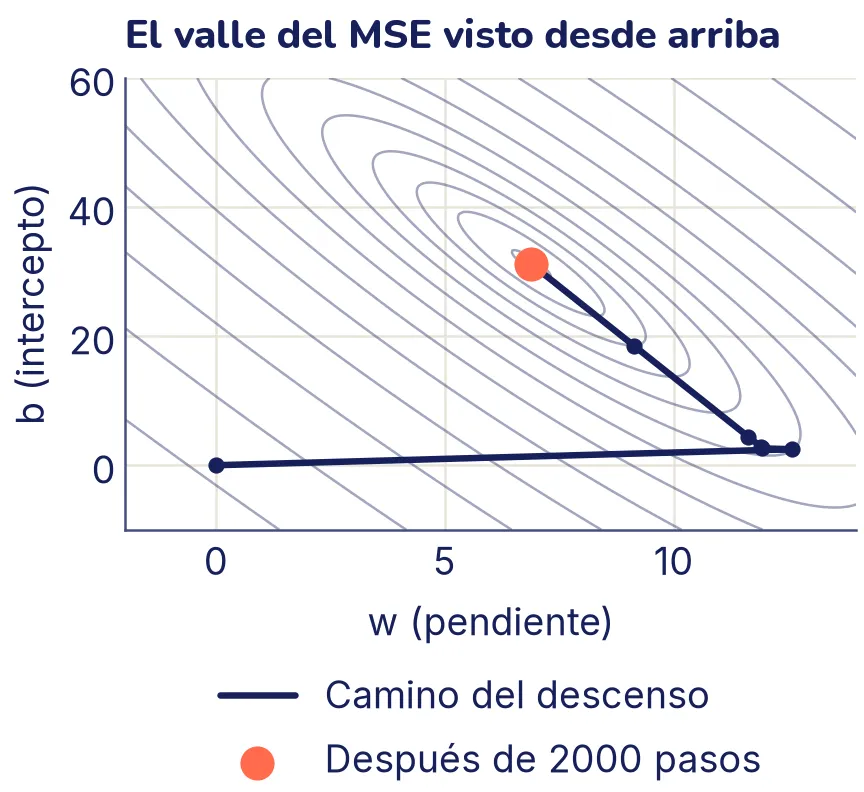Curvas de nivel en forma de elipses muy alargadas e inclinadas. El camino sale del origen, salta casi en horizontal hasta w = 12,6 y luego avanza en diagonal, despacio, a lo largo del fondo del valle hasta la bola coral, cerca de w = 6,9 y b = 31,2.