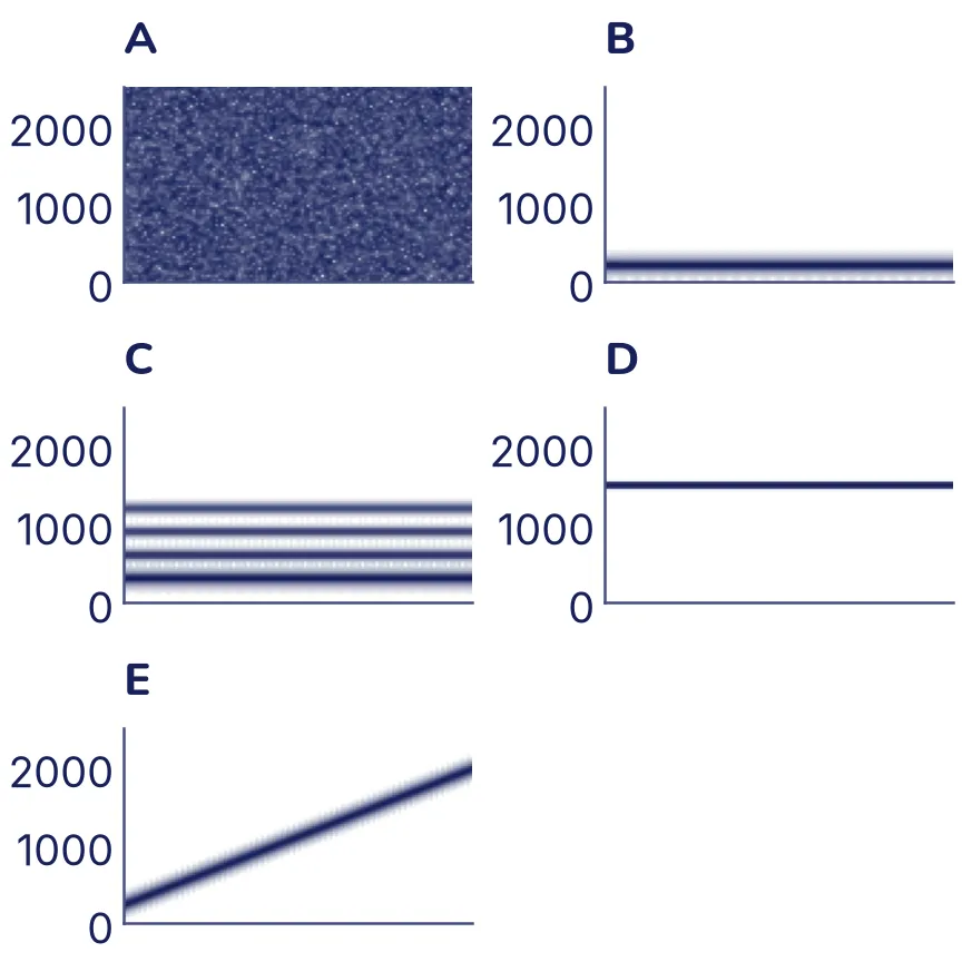 Cinco espectrogramas en tinta, de 0 a 2500 Hz, marcados de la A a la E. A: tinta granulada que llena todo el panel. B: una raya horizontal gruesa abajo, cerca de 200. C: cuatro rayas horizontales paralelas e igual de separadas, entre 300 y 1200. D: una raya horizontal fina cerca de 1500. E: una raya inclinada que sube de abajo a la izquierda hasta arriba a la derecha.