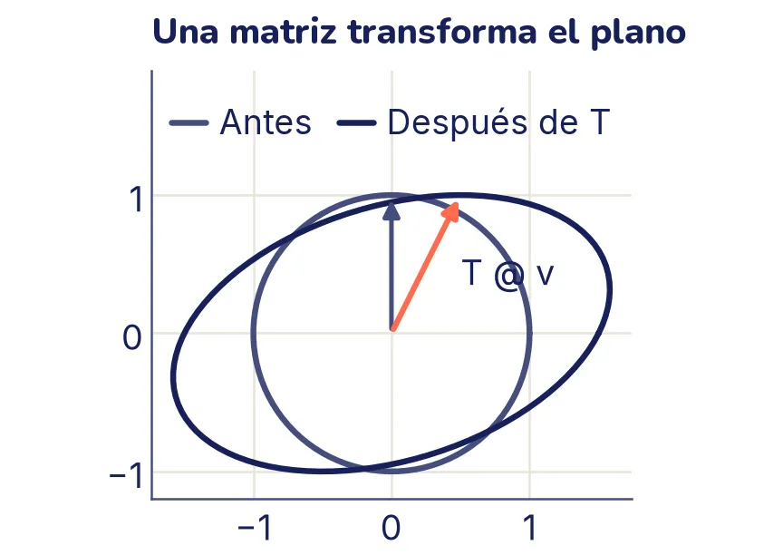 Un círculo de radio 1 y, encima, la elipse inclinada en la que lo convierte la matriz T. Una flecha en tinta suave va del origen al punto (0, 1) del círculo; una flecha coral, del origen a (0,5; 1), el mismo punto después de multiplicarlo por T.