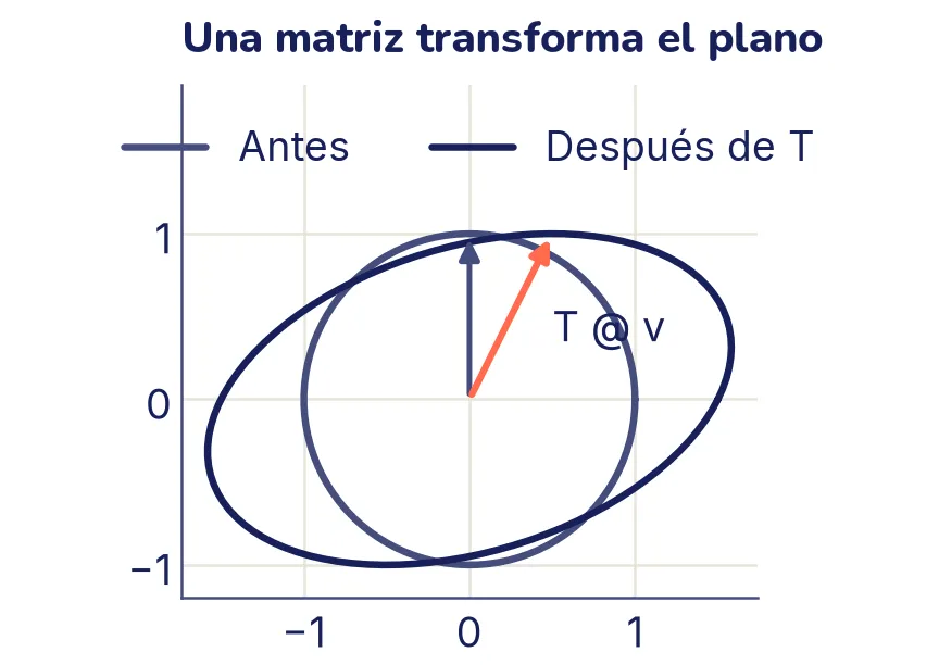 Un círculo de radio 1 y, encima, la elipse inclinada en la que lo convierte la matriz T. Una flecha en tinta suave va del origen al punto (0, 1) del círculo; una flecha coral, del origen a (0,5; 1), el mismo punto después de multiplicarlo por T.