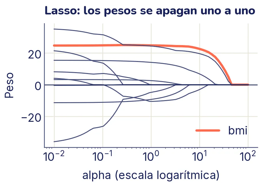 Diez curvas de pesos según alpha, de 0,01 a 100. Al subir alpha, las curvas van tocando el cero una por una y se quedan ahí, pegadas al eje. La curva de bmi, resaltada, es de las últimas en llegar a cero.