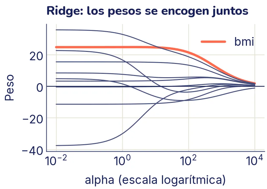 Diez curvas, una por peso, según alpha en escala logarítmica de 0,01 a 10 000. A la izquierda los pesos están entre unos −38 y 36; al subir alpha todos se acercan a cero de a poco, sin llegar a cero. La curva de bmi, resaltada, empieza cerca de 25 y baja lentamente.